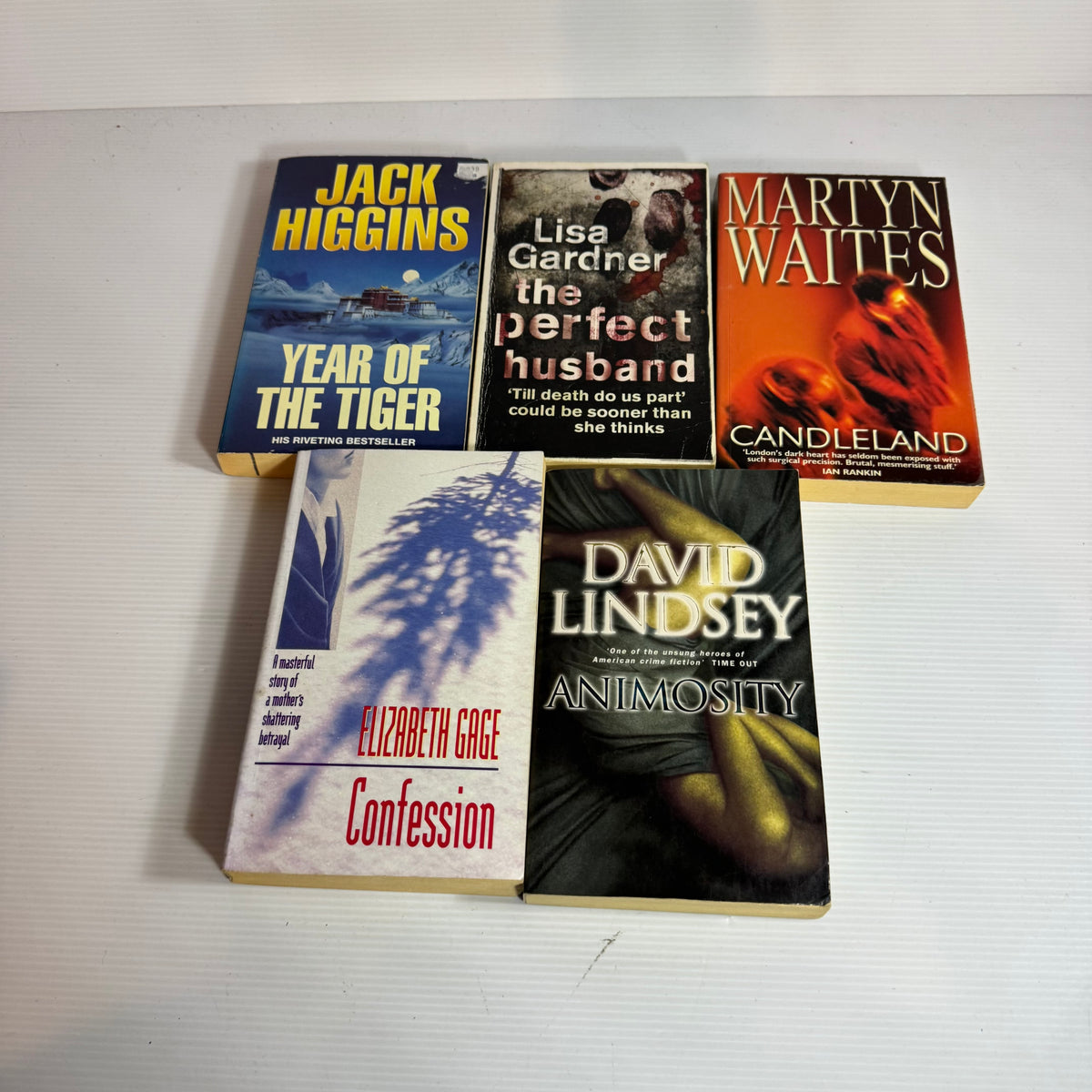 Action Adventure Thriller Bundle x 5 : Year Of The Tiger - Jack Higgins, The Perfect Husband - Lisa Gardner, Candleland - Martyn Waites, Animosity - David Lindsey, Confession - Elizabeth Gage(3416)