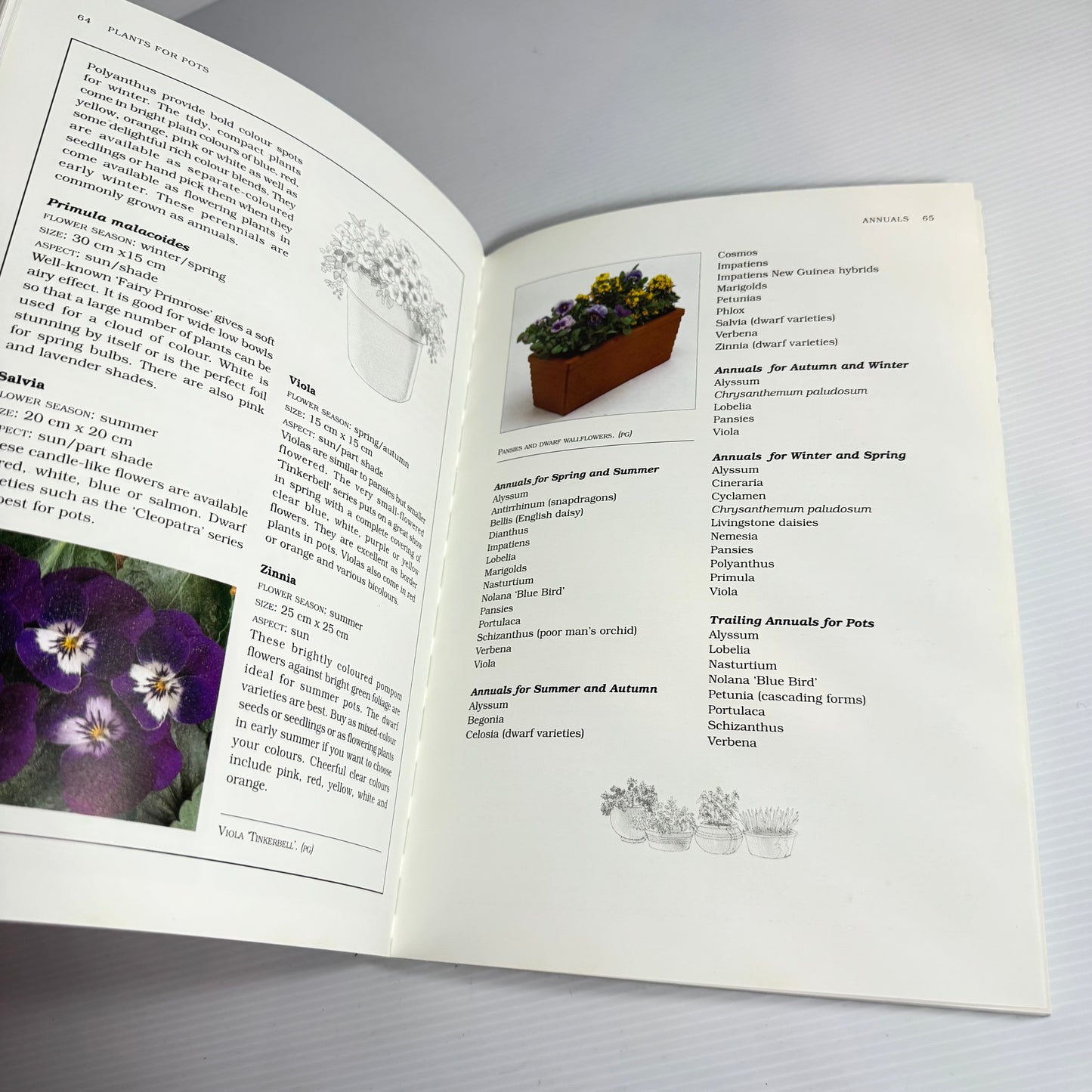 Palmers Book of Terracotta Gardening - Sue Linn