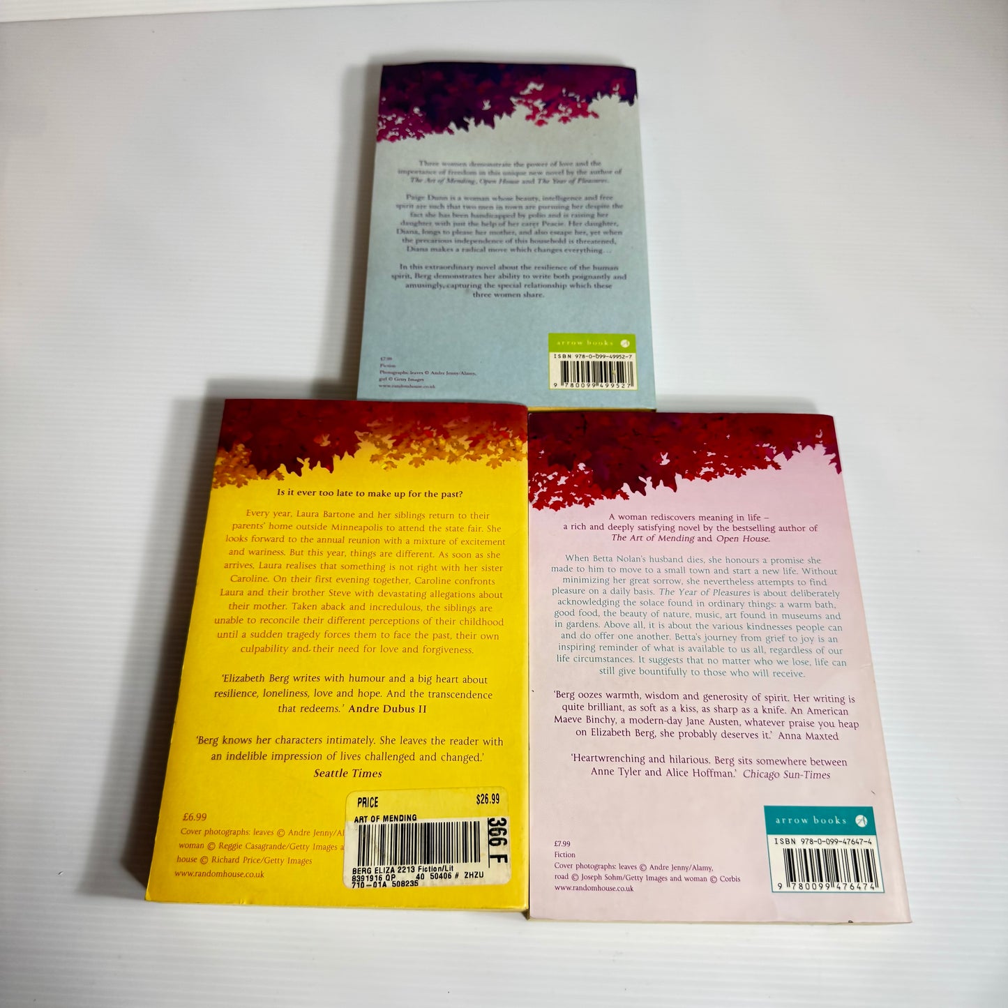 Elizabeth Berg Book Bundle x 3 : We Are All Welcome Here, The Year of Pleasures, The Art of Mending(3054)