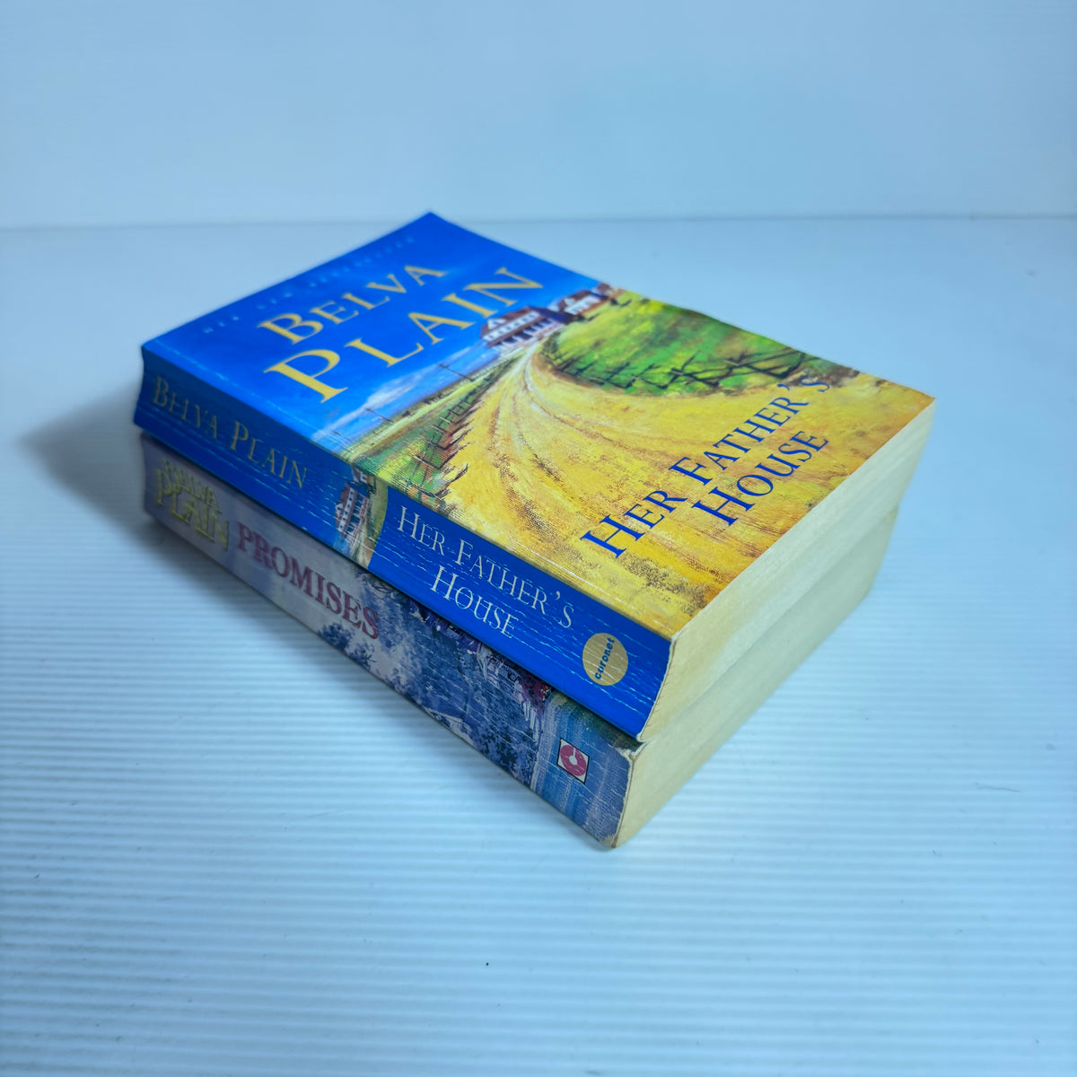 Belva Plain Bundle x 2 - Her Father's House & Promises (3426)