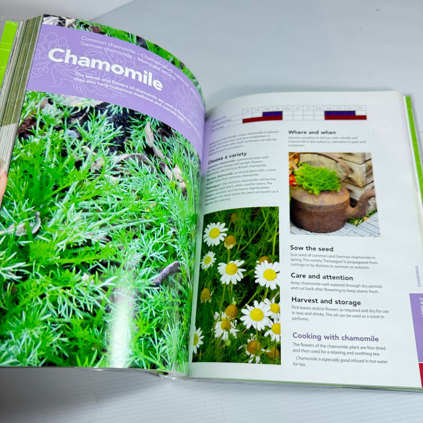 The Tui NZ Vegetable Garden (3rd Ed.) - Rachel Vogan