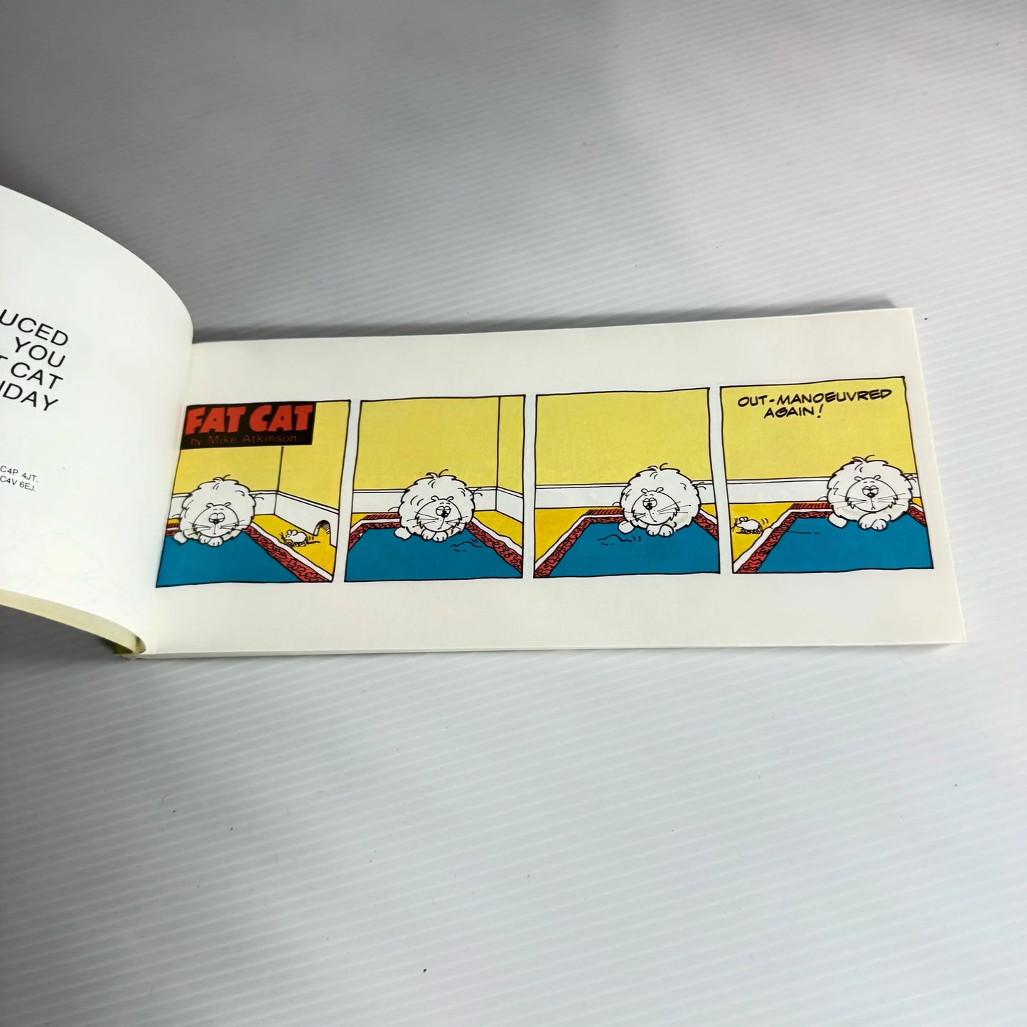 Fat Cat - Mike Atkinson (Vintage 1979)