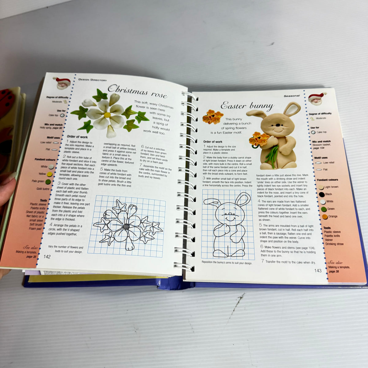 Cake Decoration Book Bundle x 2 Books (3222)