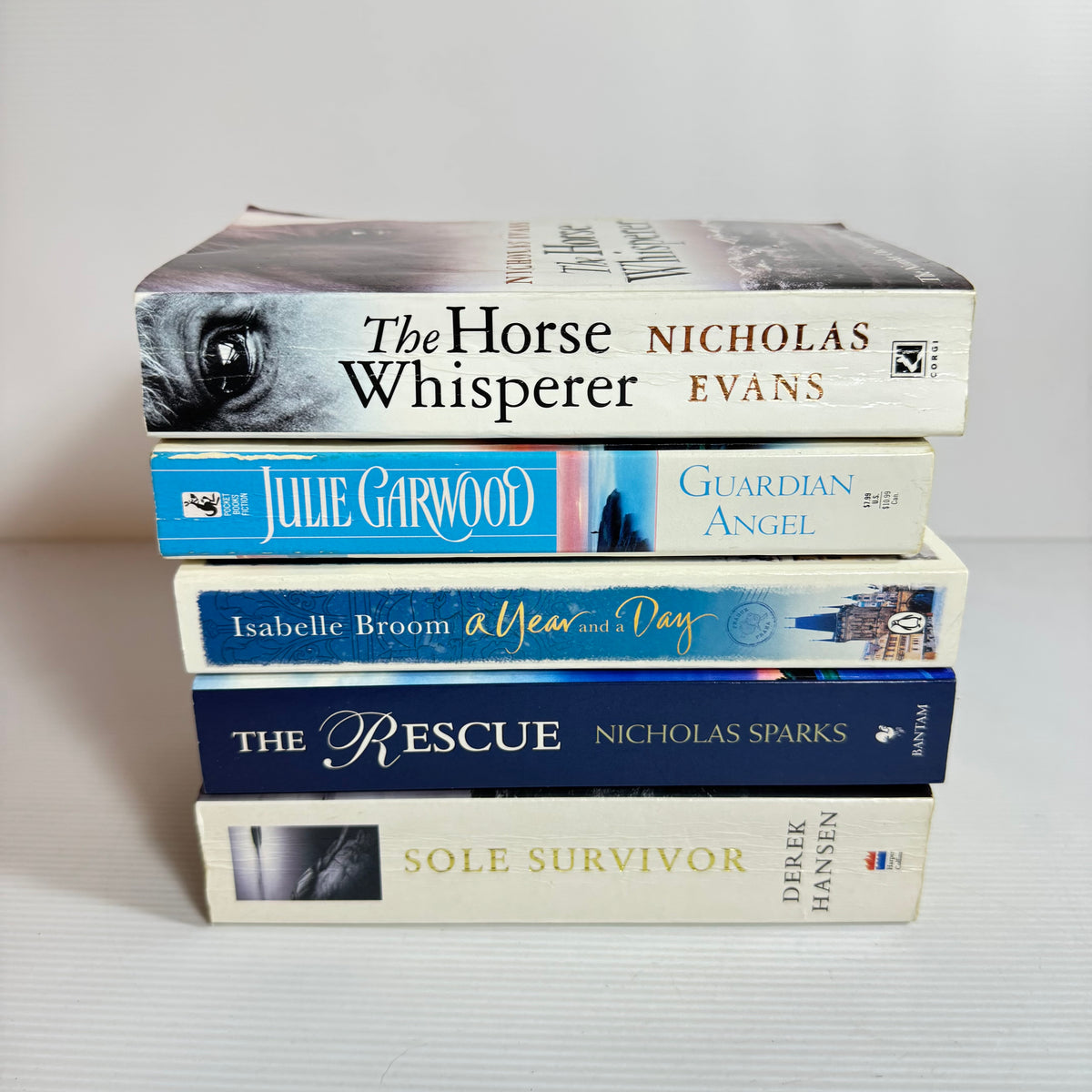 Historical Fiction Bundle x 5 : Guardian Angel - Julie Garwood, The Horse Whisperer - Nicholas Evans, The Rescue - Nicholas Sparks, A Year and a day - Isabelle Broom, Sole Survivor - Derek Hansen  (3365)