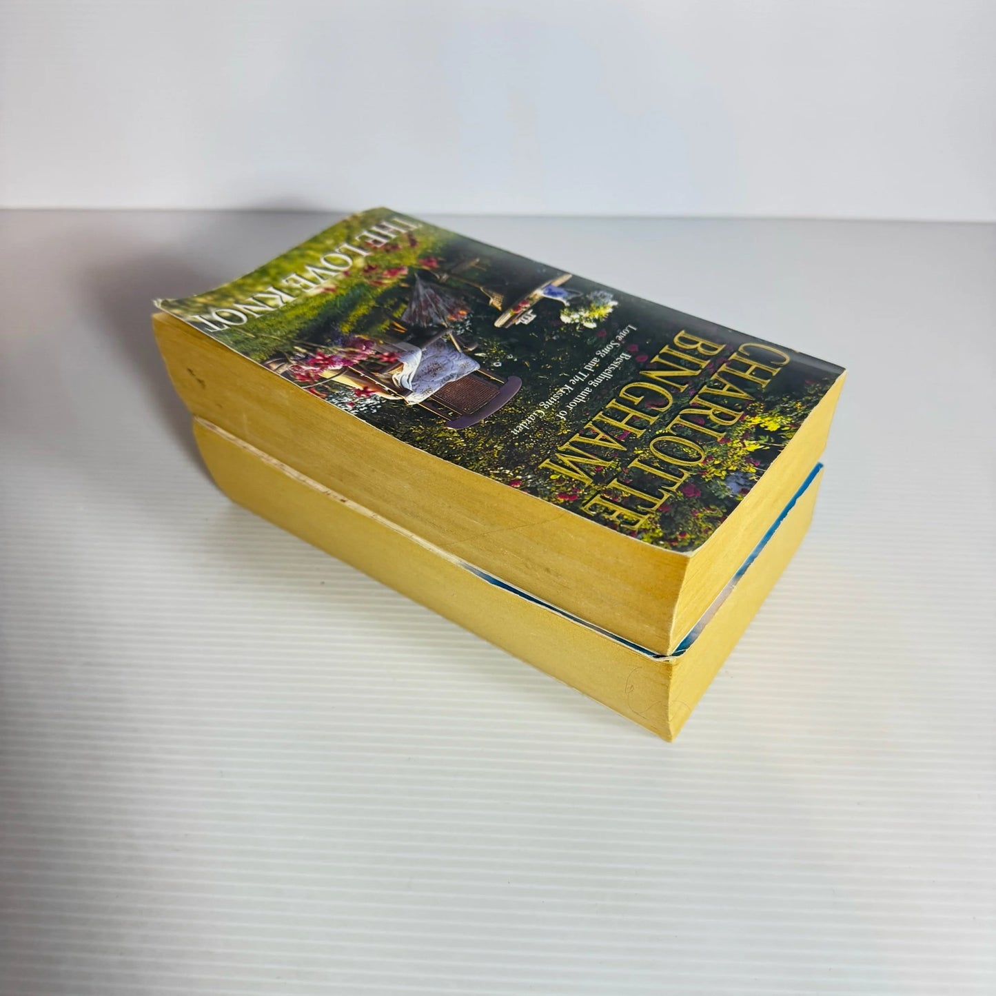 Charlotte Bingham Book Bundle x 2 Books : The Love Knot & The Blue Note (2245)