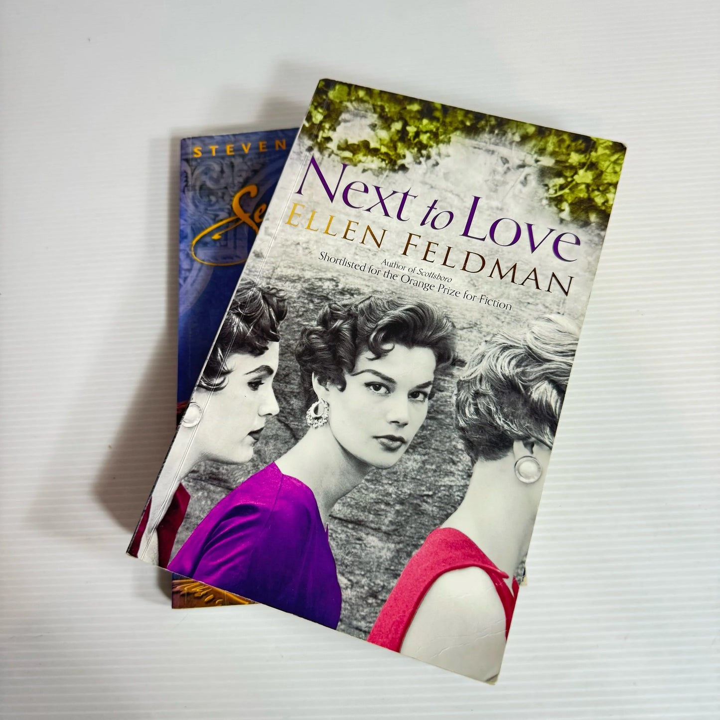 Fiction Book Bundle x 2 Books : Seraphim Blues - Steven Cannaway & Next to Love Ellen Feldman (2145)