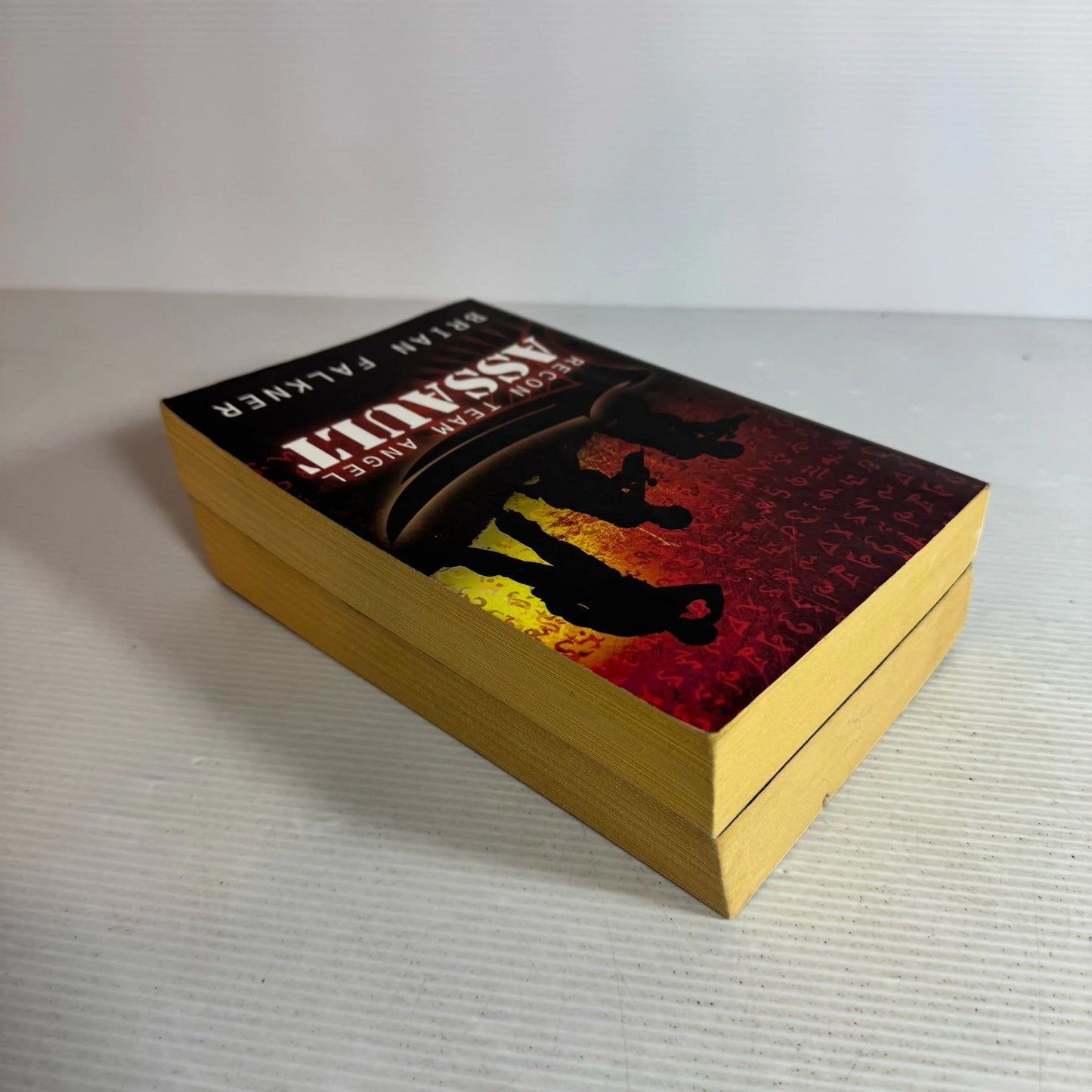 Recon Team Angel Book 1 & 2 - Brain Falkner Book Bundle x 2