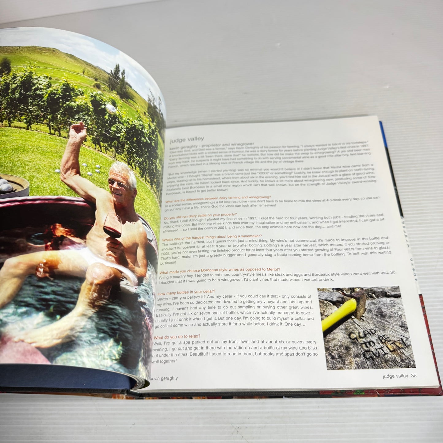 New Zealand Wine & Food Cookbook Bundle x 3 : Good Wine Bad Language Great Vineyards, corbans Good Food & Wine Series, New Zealand Food & Wine Art : A New Journey (2936)