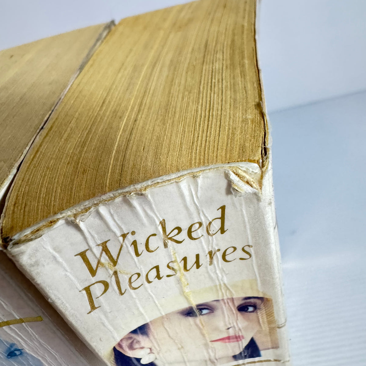 Penny Vincenzi Bundle x 3 : Wicked Pleasures, No Angel, The Dilemma (3350)