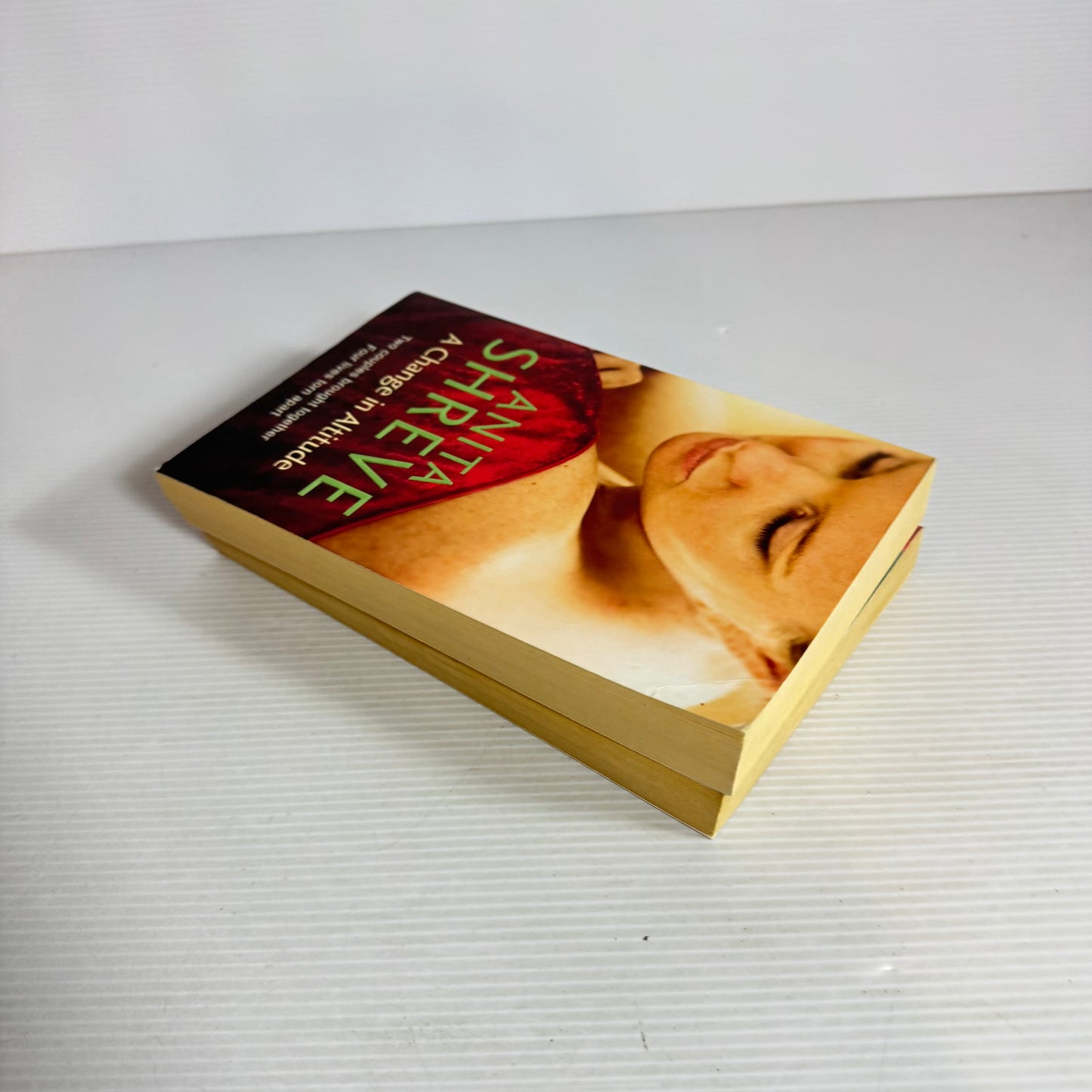 Anita Shreve Book Bundle x 2 Books - Light On Snow & A Change In Altitude (2532)