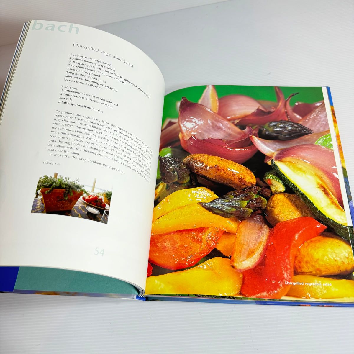 Barbecue Cookbook Bundle x 2 : Beach Bach Boat Barbecue - Penny Oliver & Barbecue (3309)