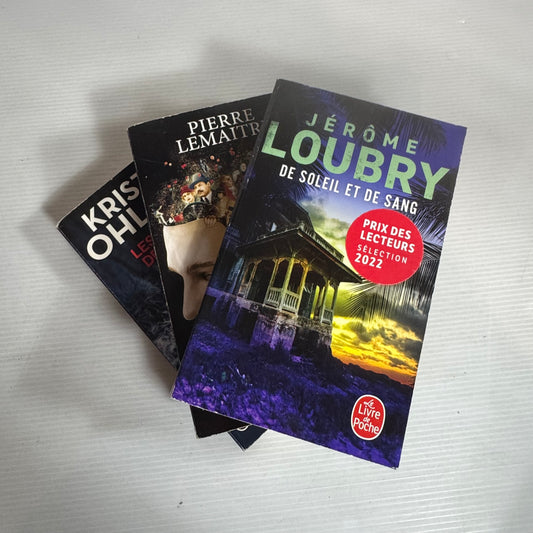 French Language Crime Book Bundle Mixed Authors x 3 Books (2580)