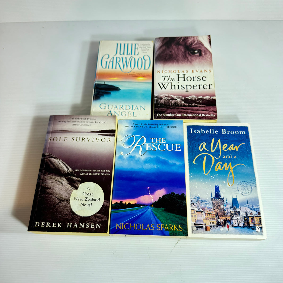Historical Fiction Bundle x 5 : Guardian Angel - Julie Garwood, The Horse Whisperer - Nicholas Evans, The Rescue - Nicholas Sparks, A Year and a day - Isabelle Broom, Sole Survivor - Derek Hansen  (3365)