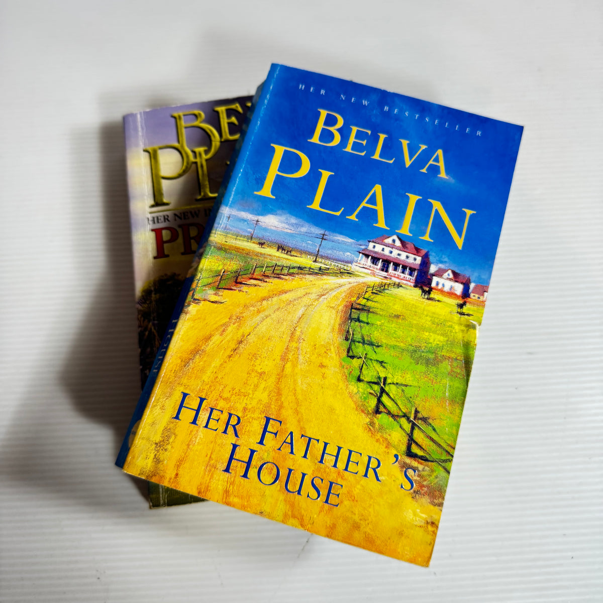 Belva Plain Bundle x 2 - Her Father's House & Promises (3426)