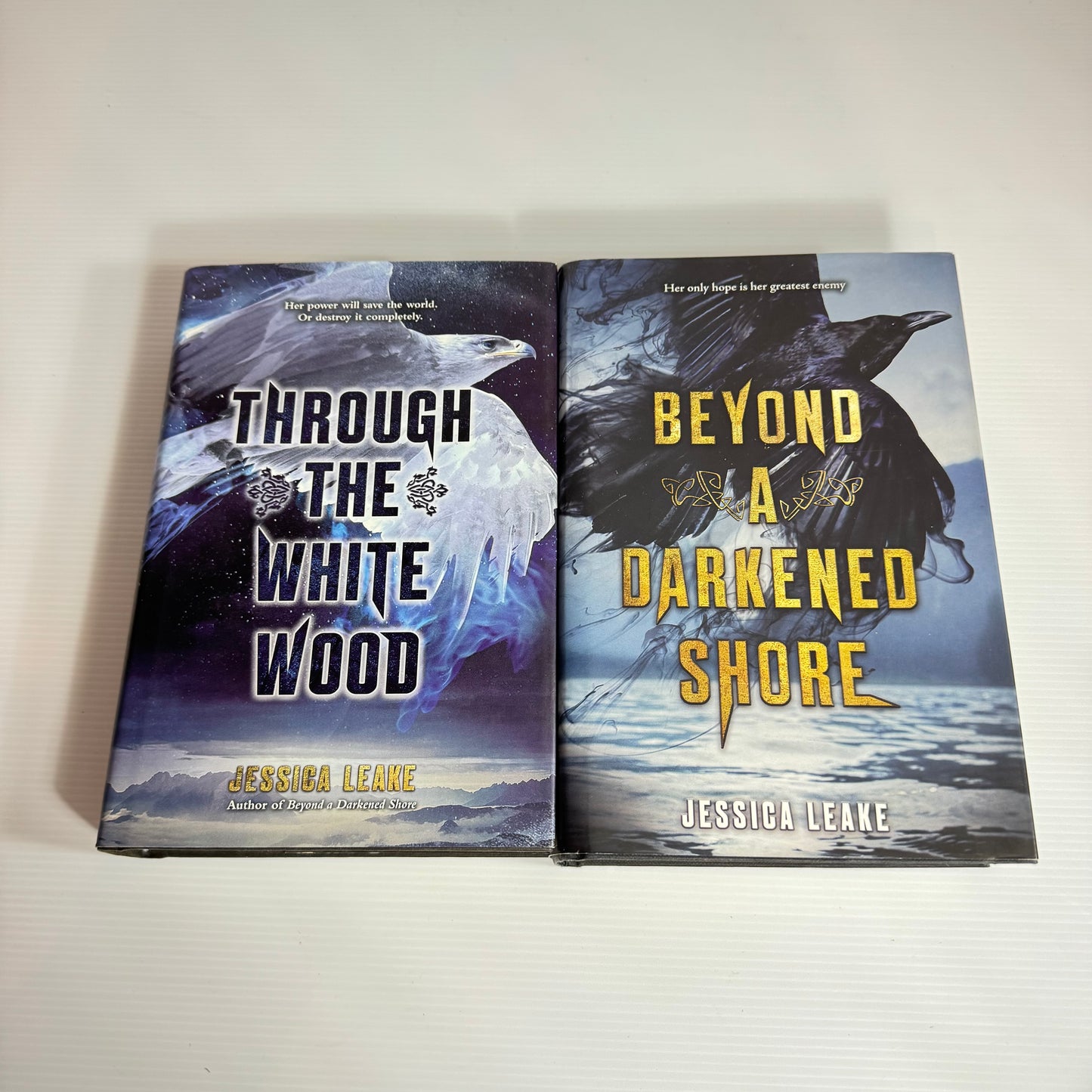 Jessica Leake Book Bundle x 2 : Beyond A Darkened Shore & Through The White Wood (3072)