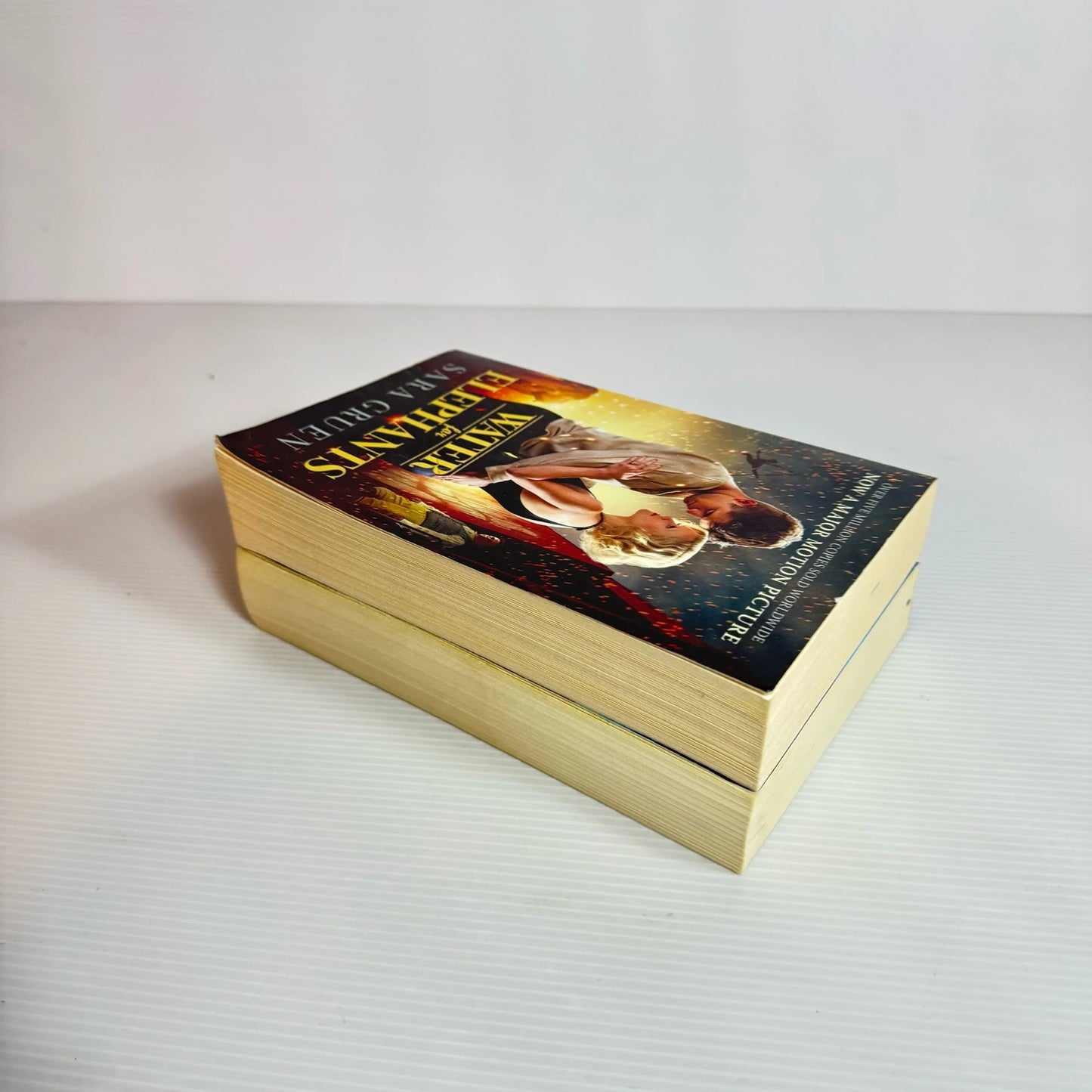 Romance Book Bundle x 2 Books : Water for Elephants - Sara Gruen & The Lost Daughter - Gill Paul (2162)