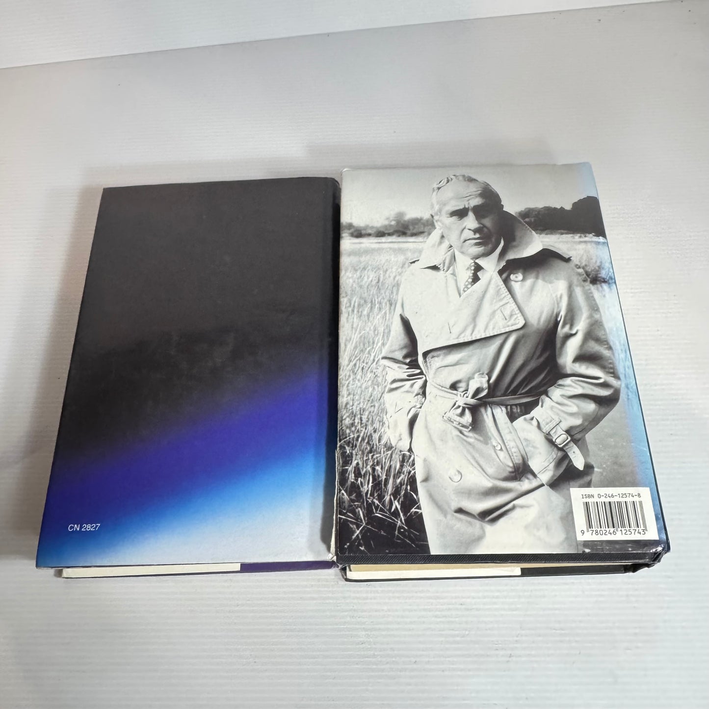 Robert Ludlum Hardcover Book Bundle x 2 : The Icarus Agenda & The Road To Omaha(2454)