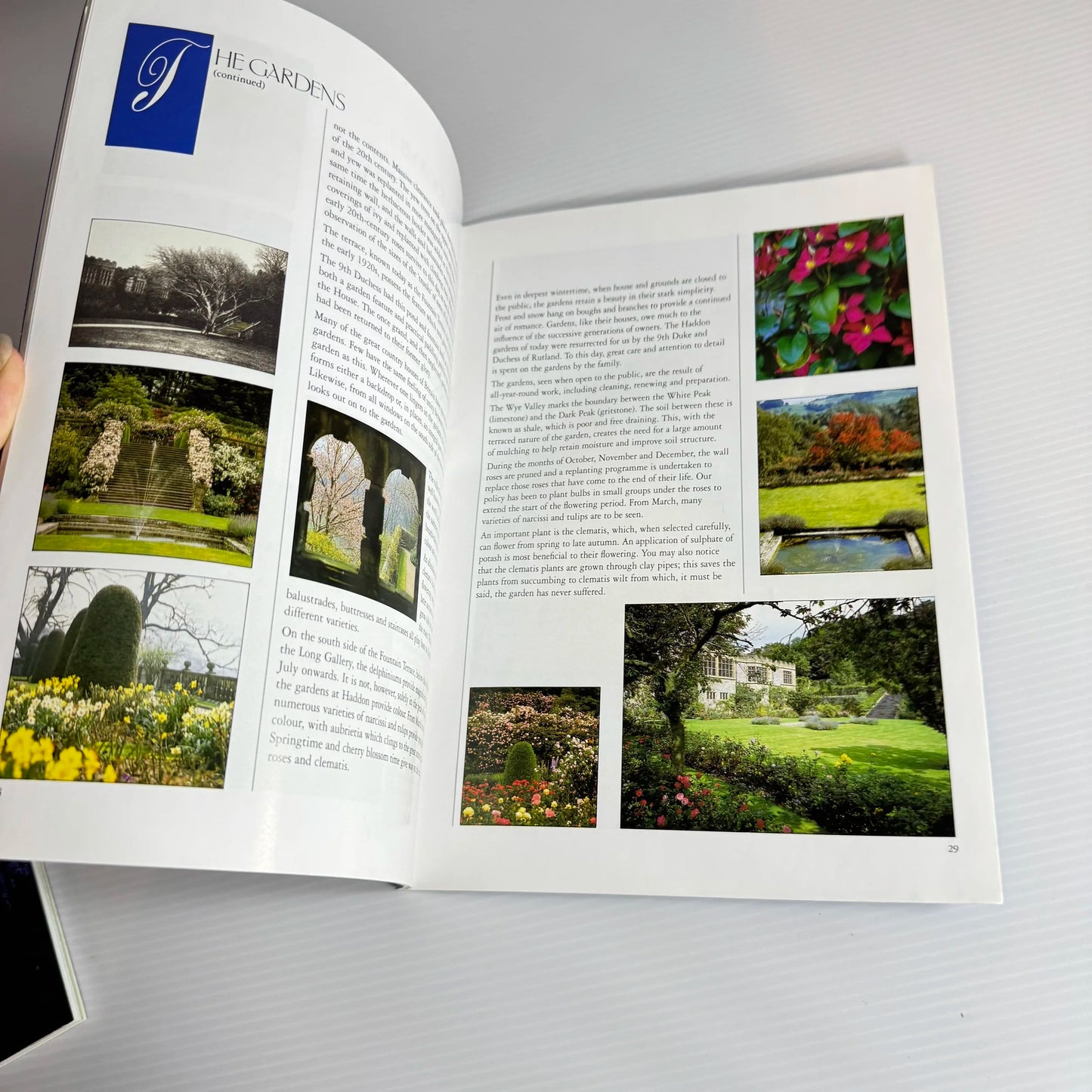 Peggy Porschen's Pretty Party Cakes