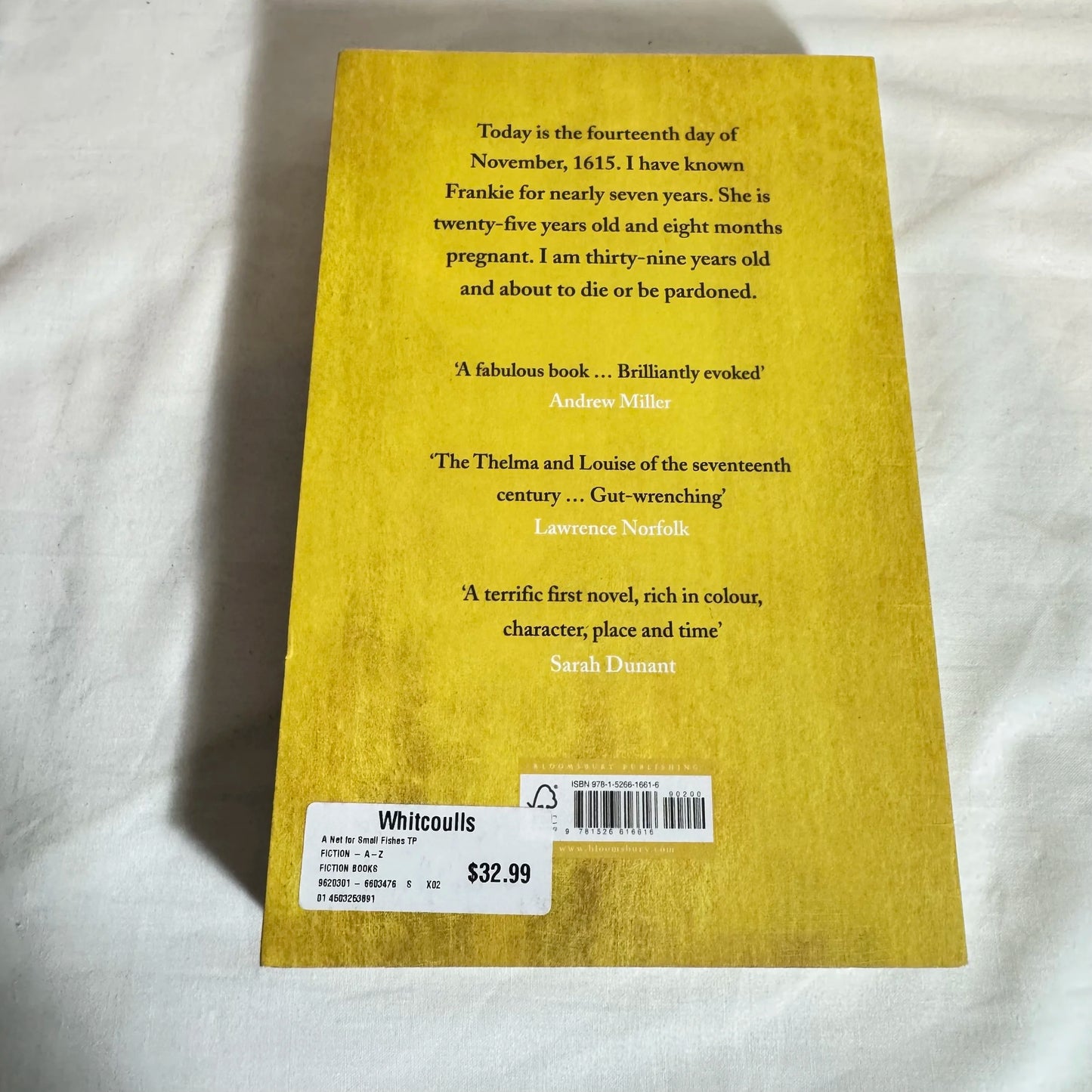 A Net for Small Fishes - Lucy Jago