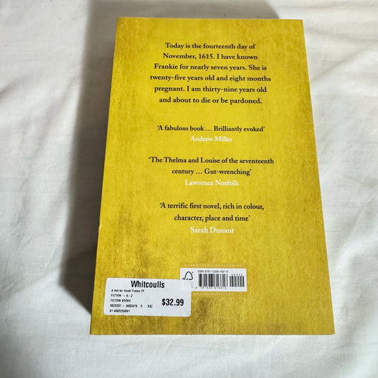 A Net for Small Fishes - Lucy Jago