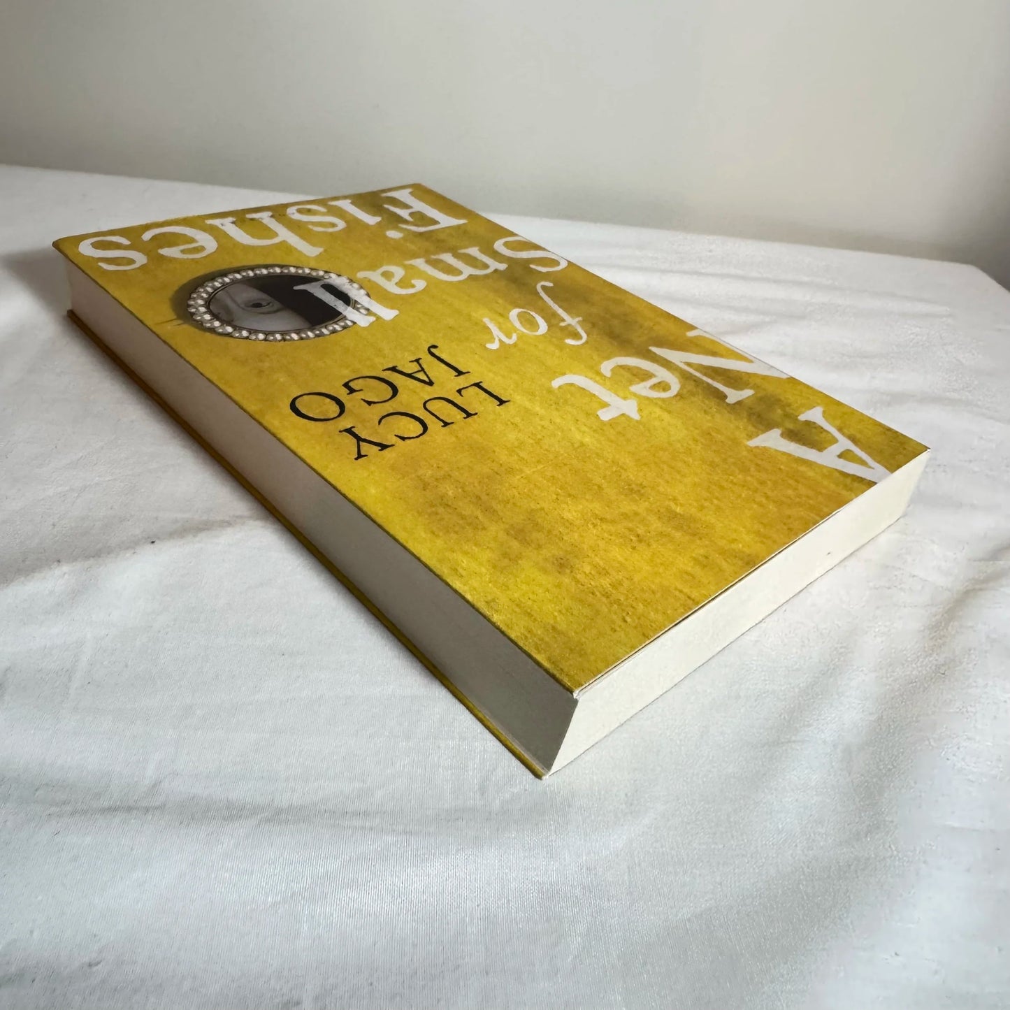 A Net for Small Fishes - Lucy Jago