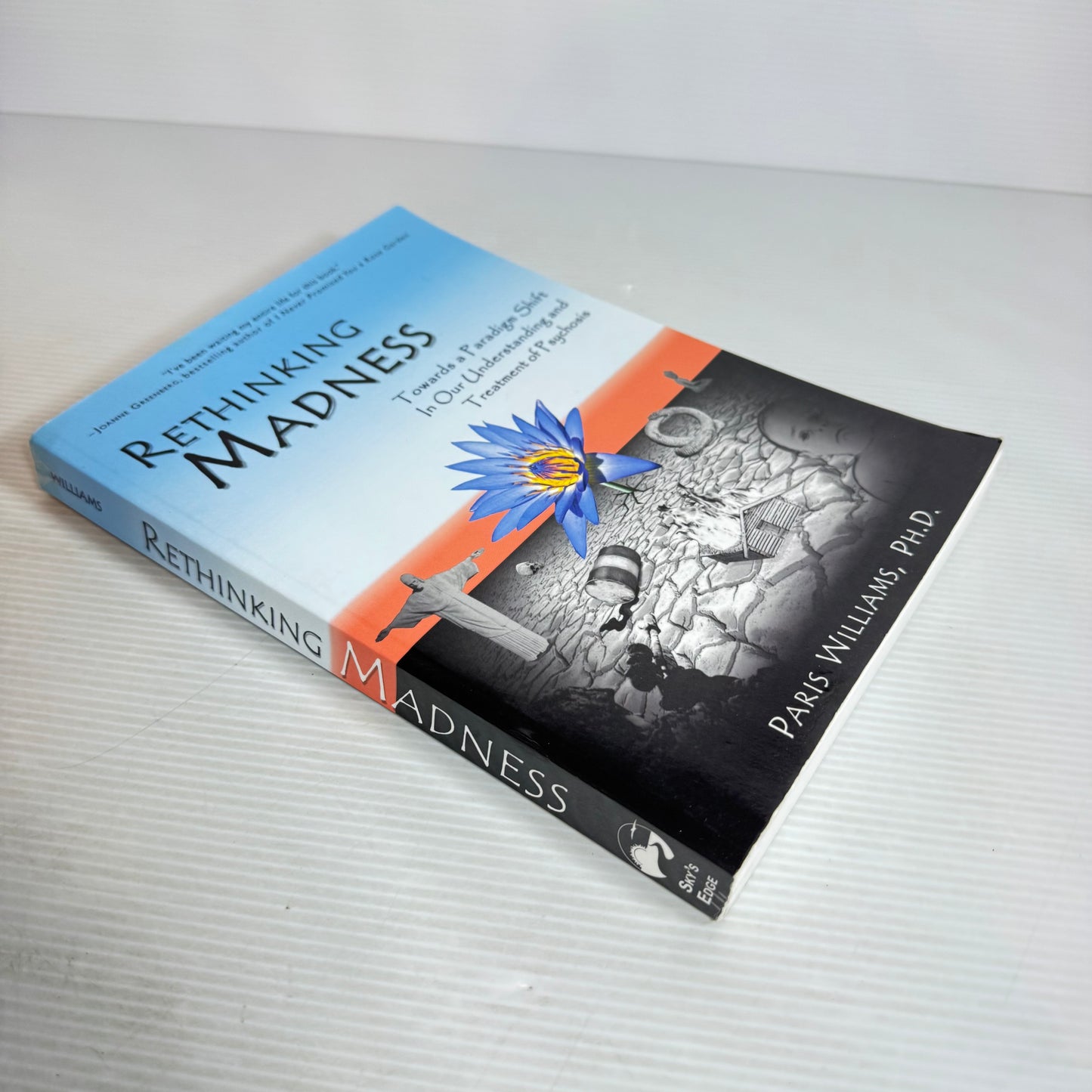 Rethinking Madness - Paris Williams