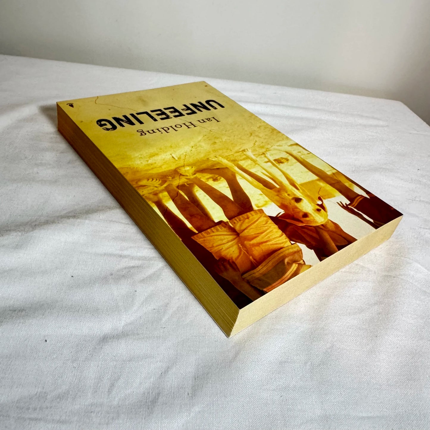 Unfeeling - Ian Holding