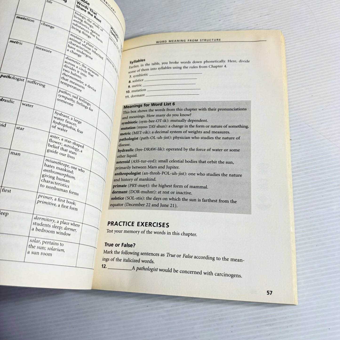 Practical Vocabulary : The Basics Made Easy In 20 Minutes a Day! - Learning Express
