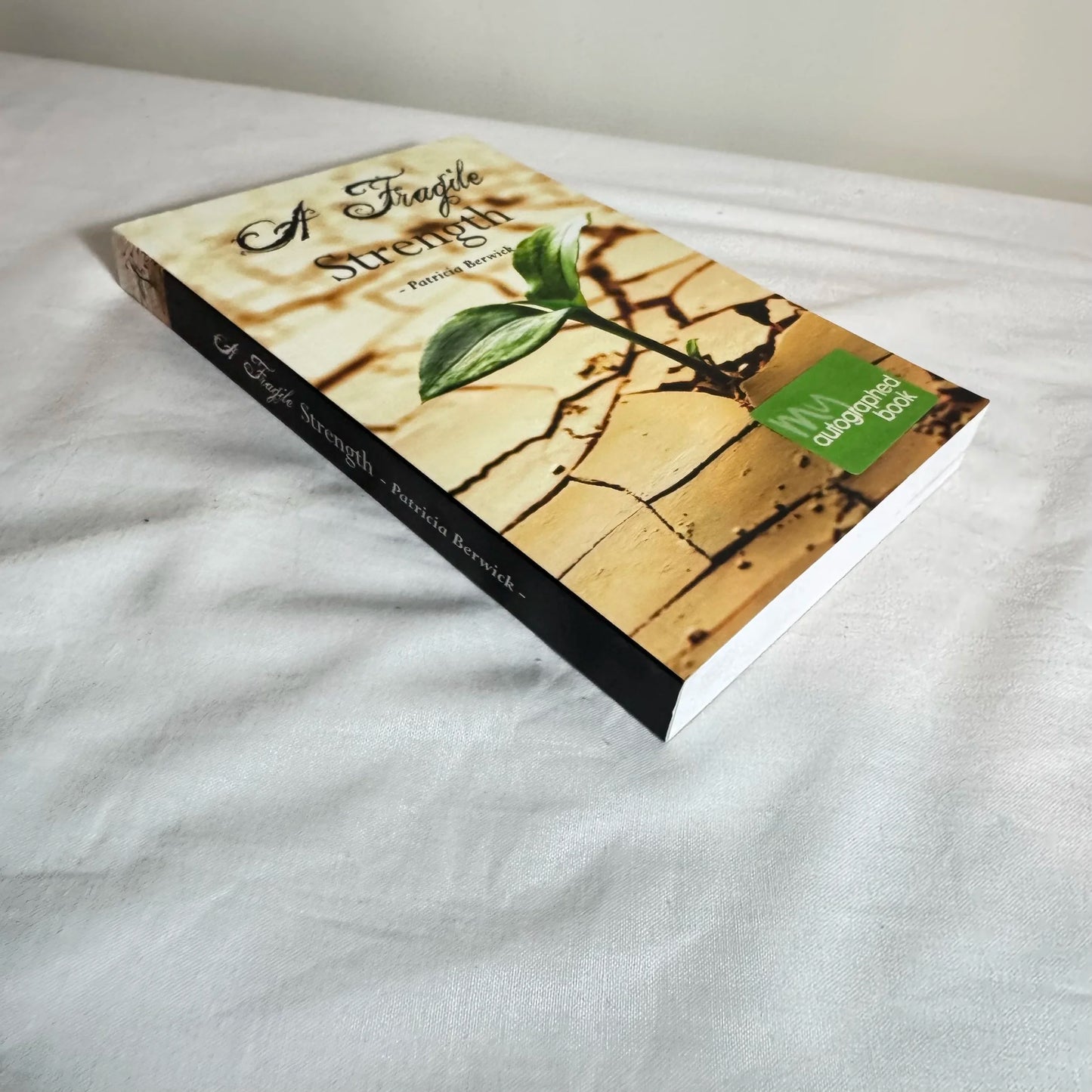 A Fragile Strength - Patricia Berwick