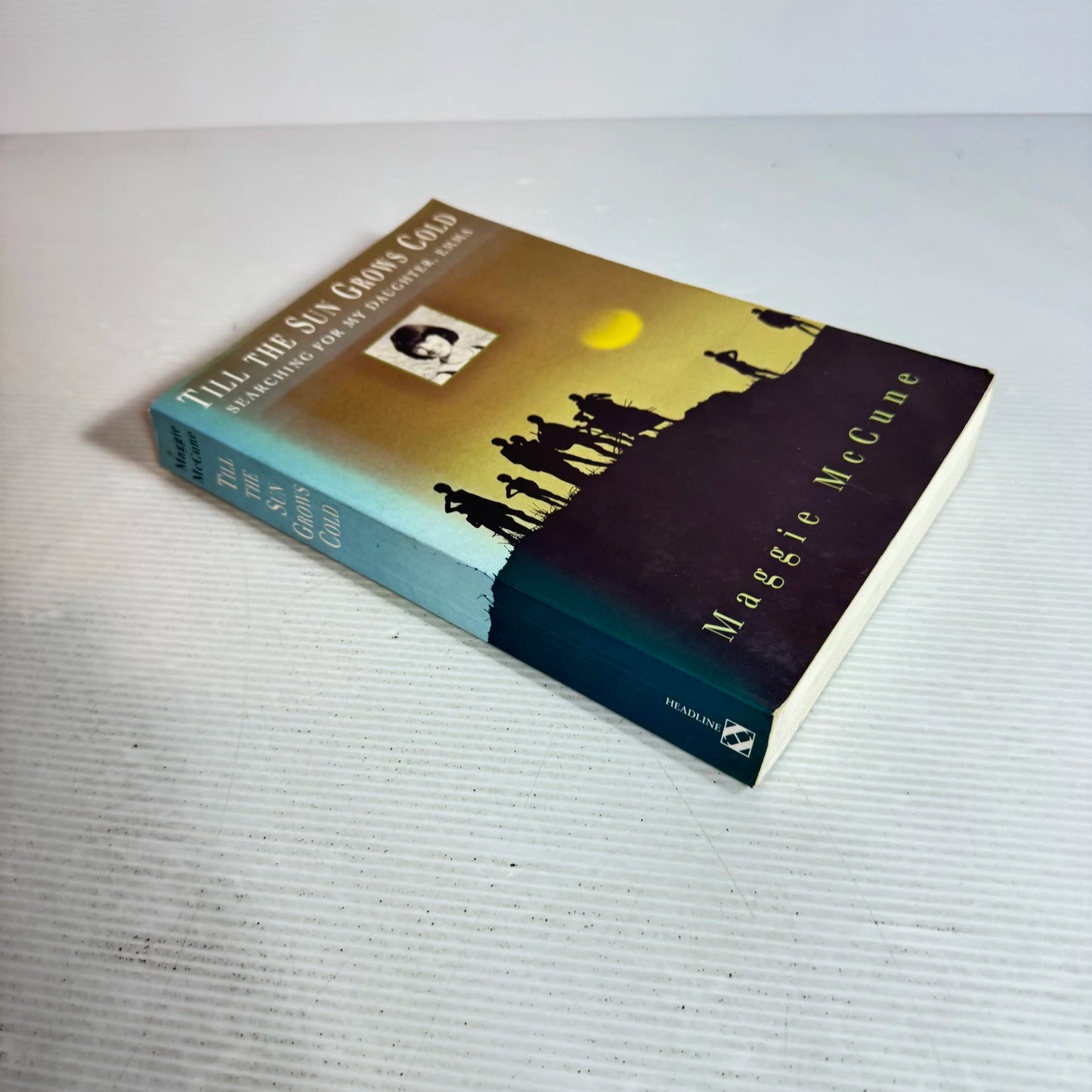 Till The Sun Grows Cold : Searching for My Daughter, Emma - Maggie McCune