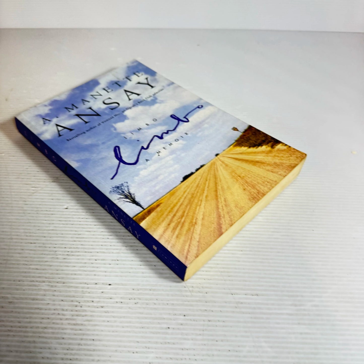 Limbo : A Memoir - A. Manette Ansay