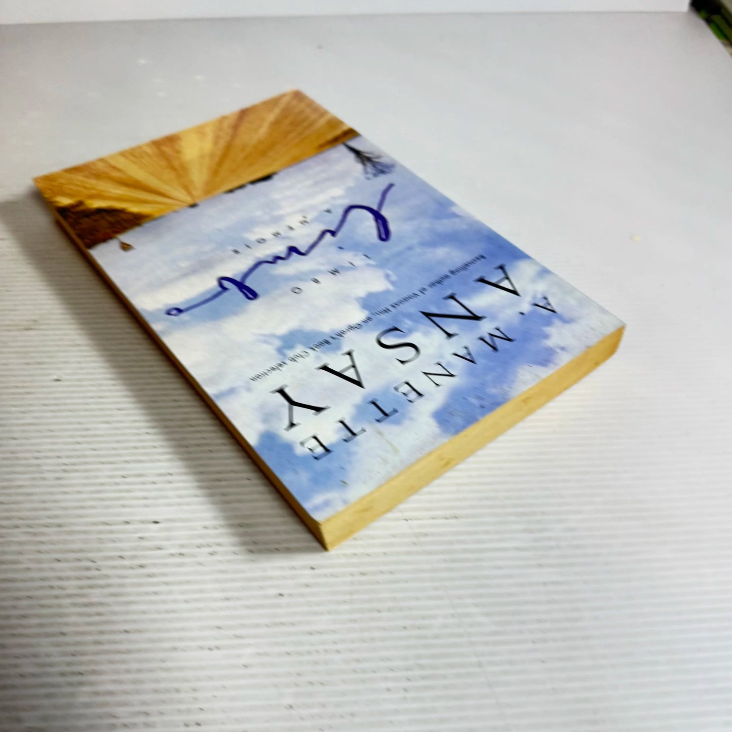 Limbo : A Memoir - A. Manette Ansay