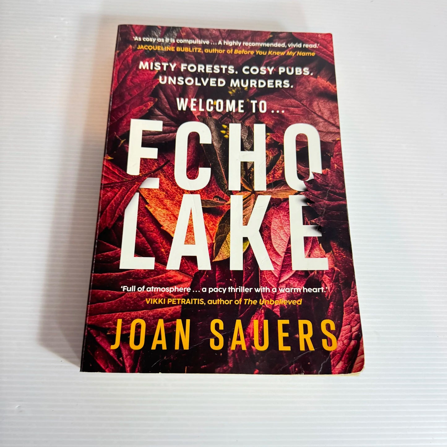 Echo Lake - Joan Sauers