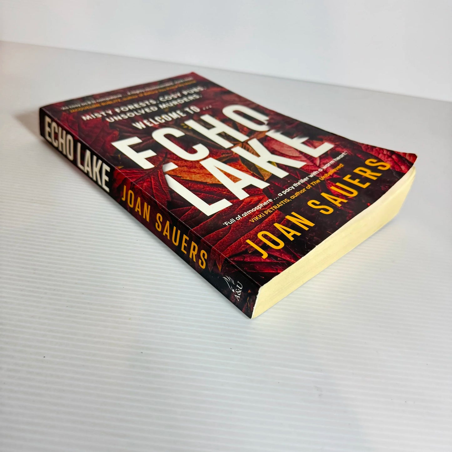 Echo Lake - Joan Sauers