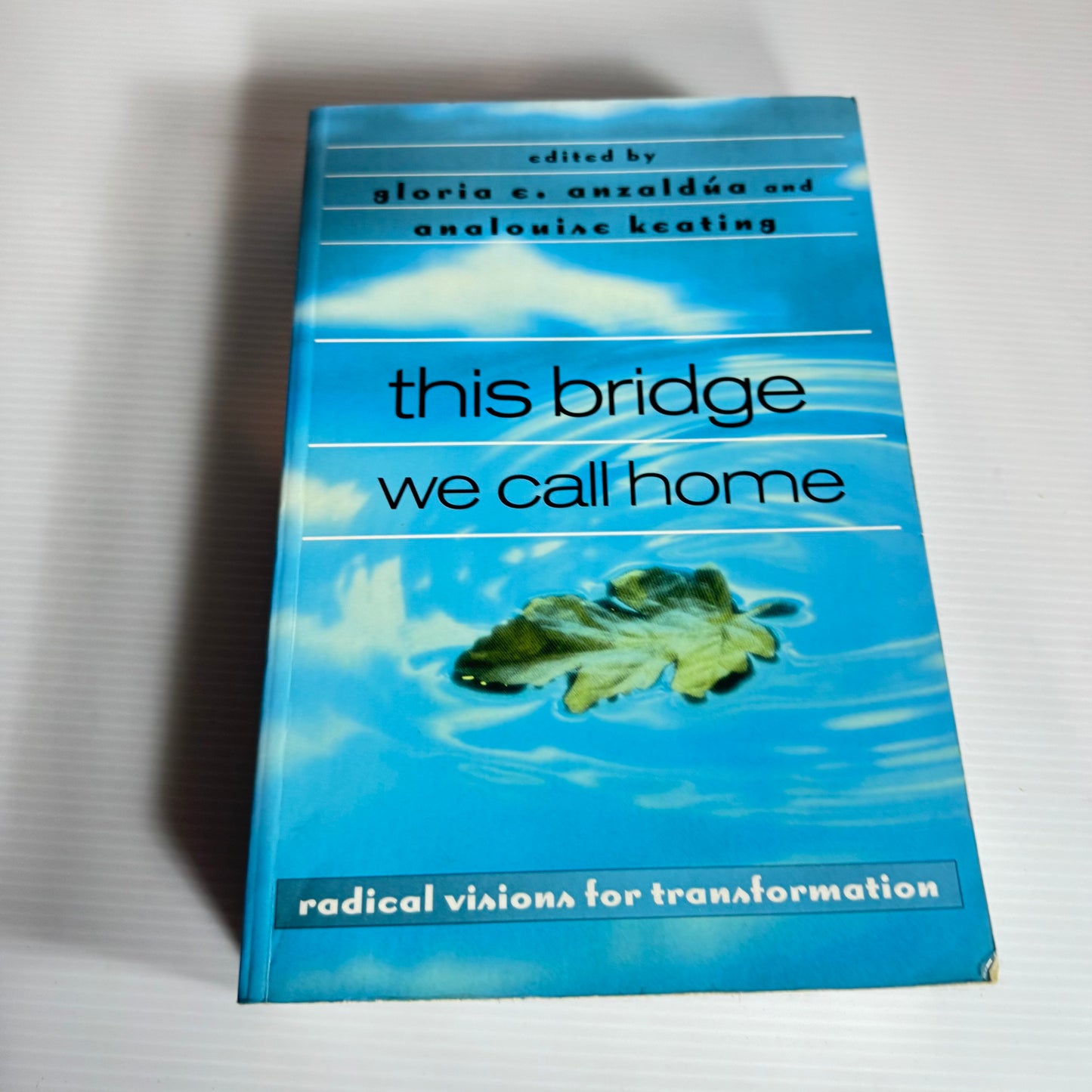 This Bridge We Call Home : Radical Visions For Transformation - Gloria E. Anzaldua And Analouise Keating