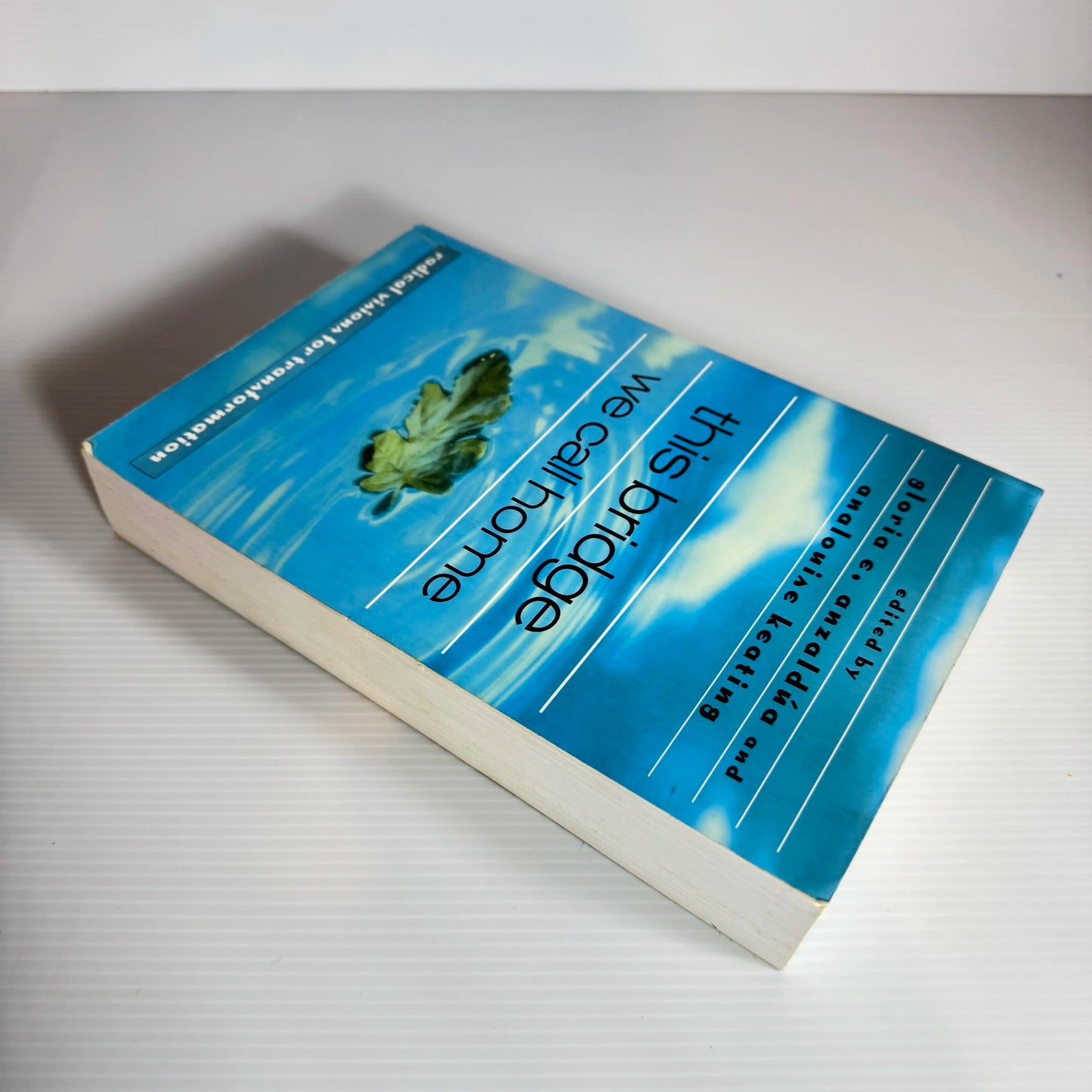 This Bridge We Call Home : Radical Visions For Transformation - Gloria E. Anzaldua And Analouise Keating