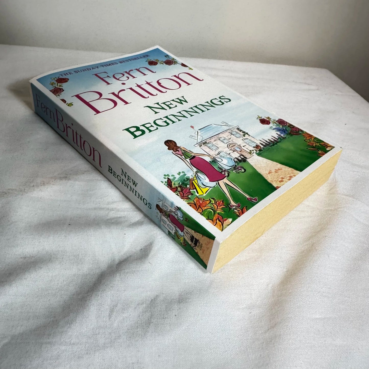 New Beginnings - Fern Britton