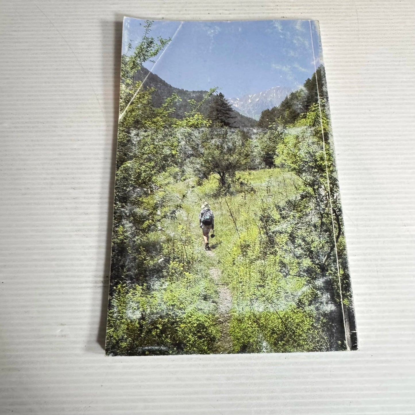 The Rock Garden Volume XXIV Part 1 Number 94 June 1994