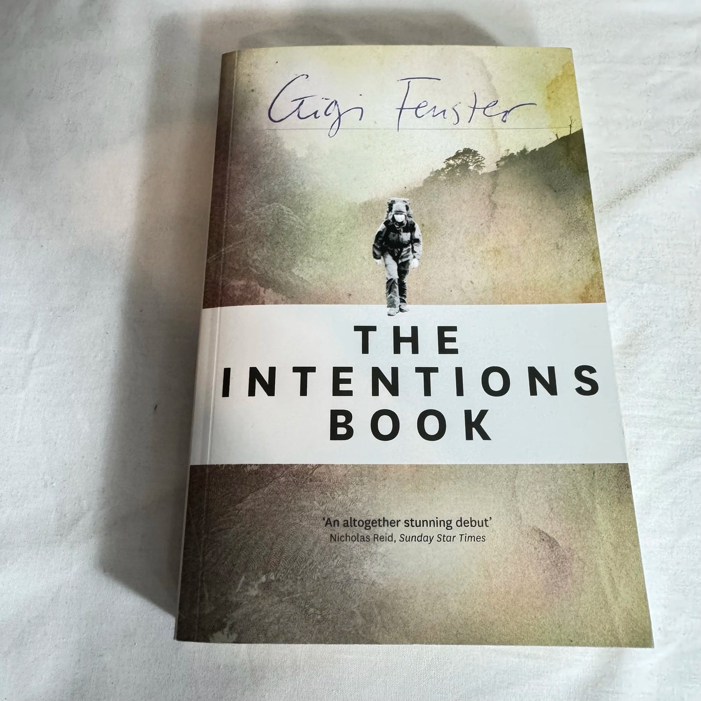 The Intentions Book - Gigi Fenster