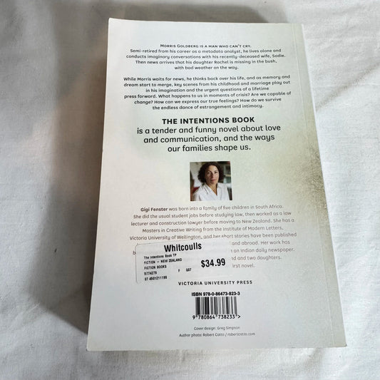 The Intentions Book - Gigi Fenster