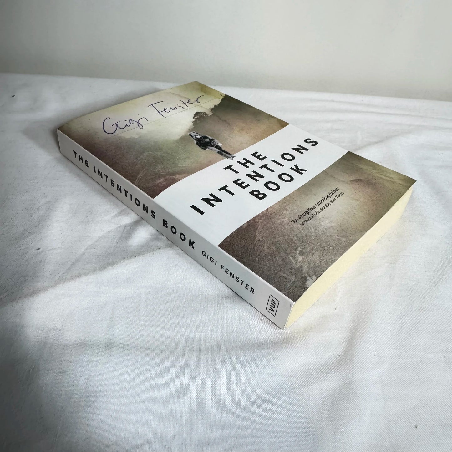 The Intentions Book - Gigi Fenster