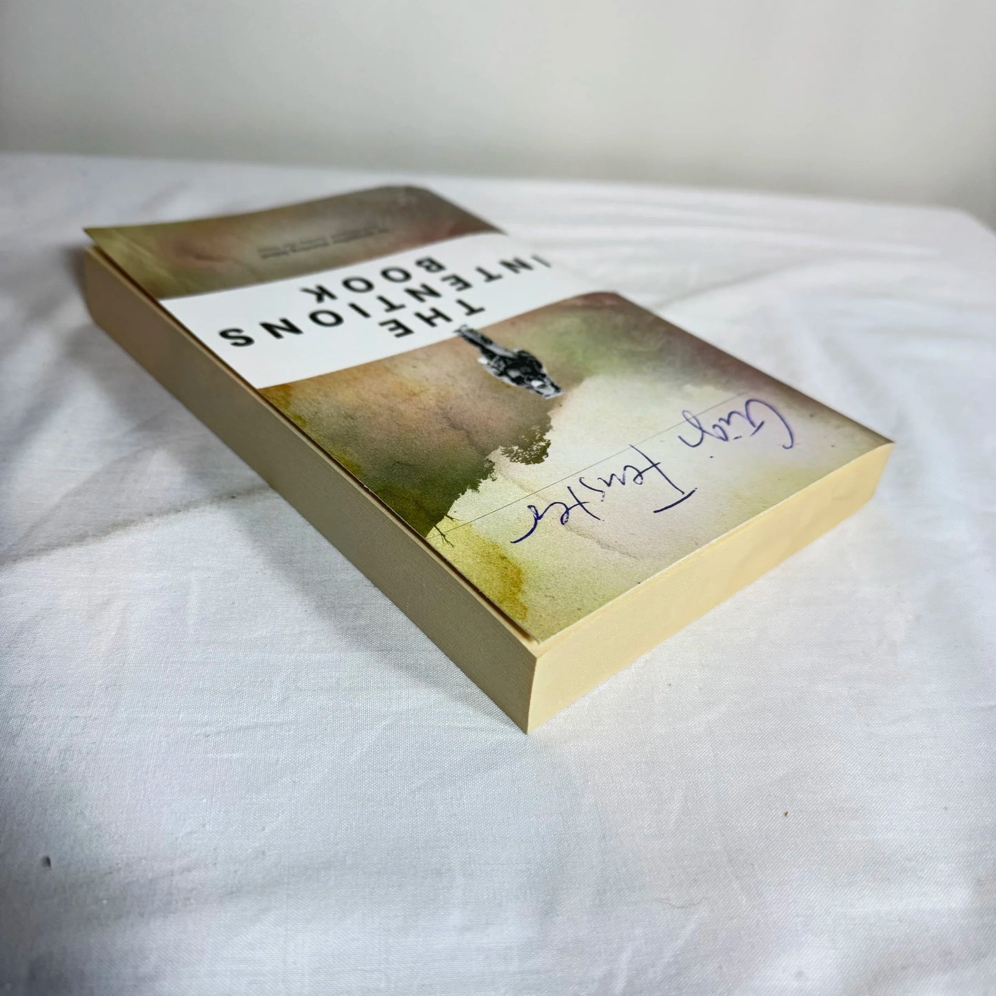 The Intentions Book - Gigi Fenster