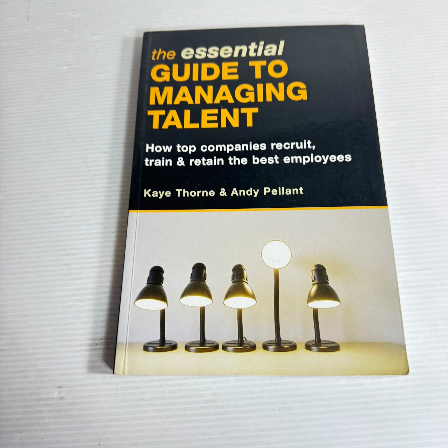 The Essential Guide to Managing Talent : How Top Companies Recruit, Train & Retain the Best Employees - Kaye Thorne & Andy Pellant