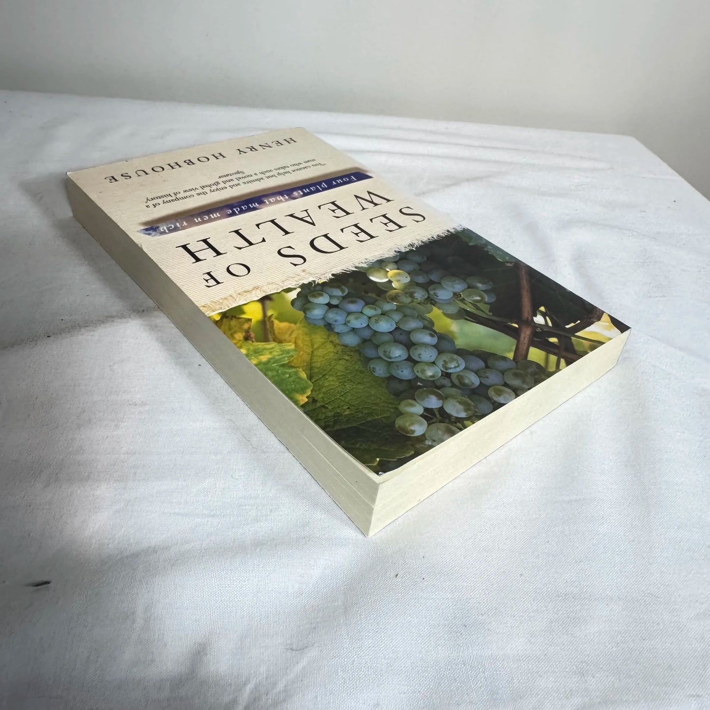 In The Devil's Garden : A Sinful History of Forbidden Food - Stewart Lee Allen