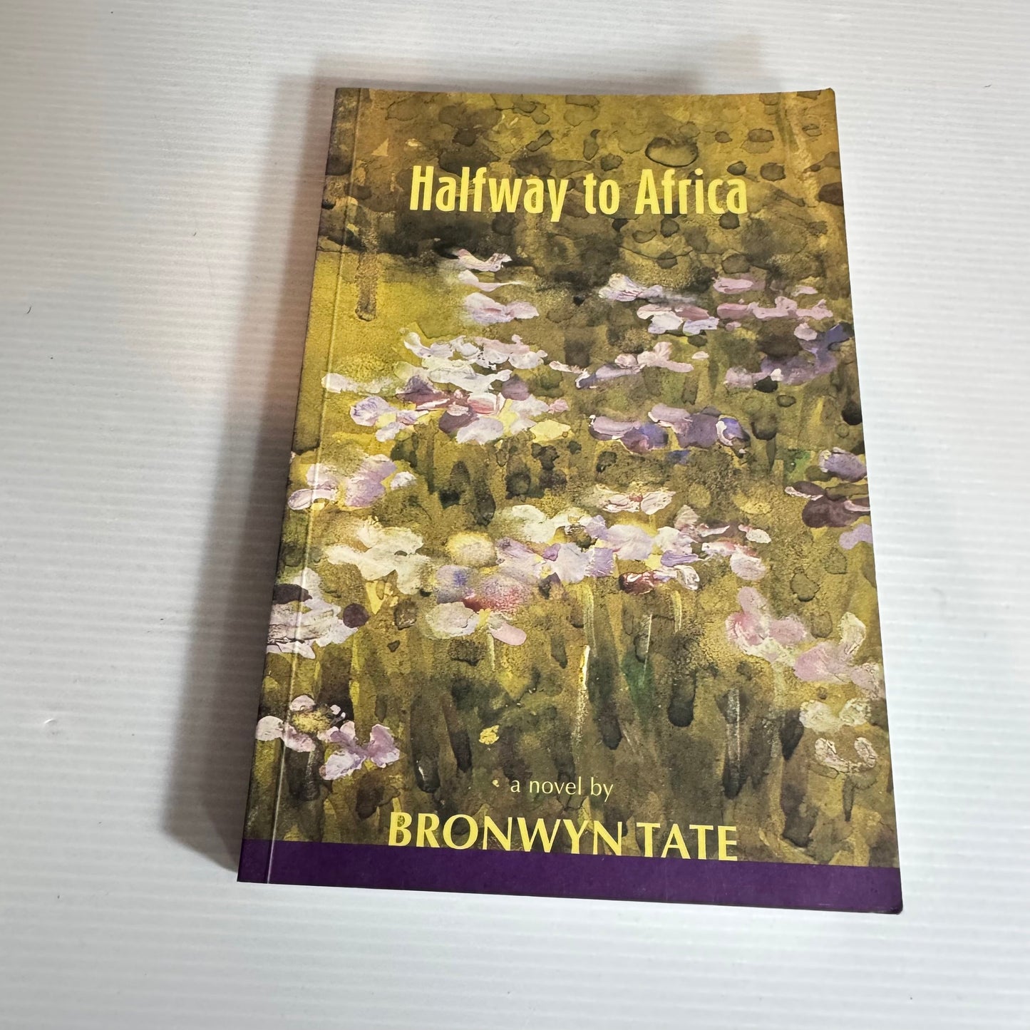 Halfway to Africa - Bronwyn Tate