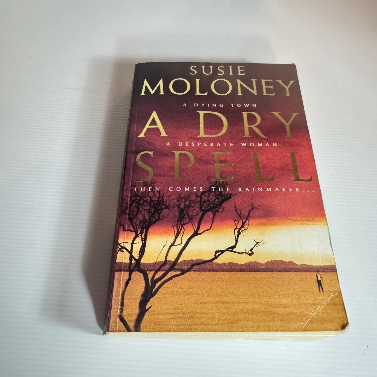 A Dry Spell - Susie Moloney