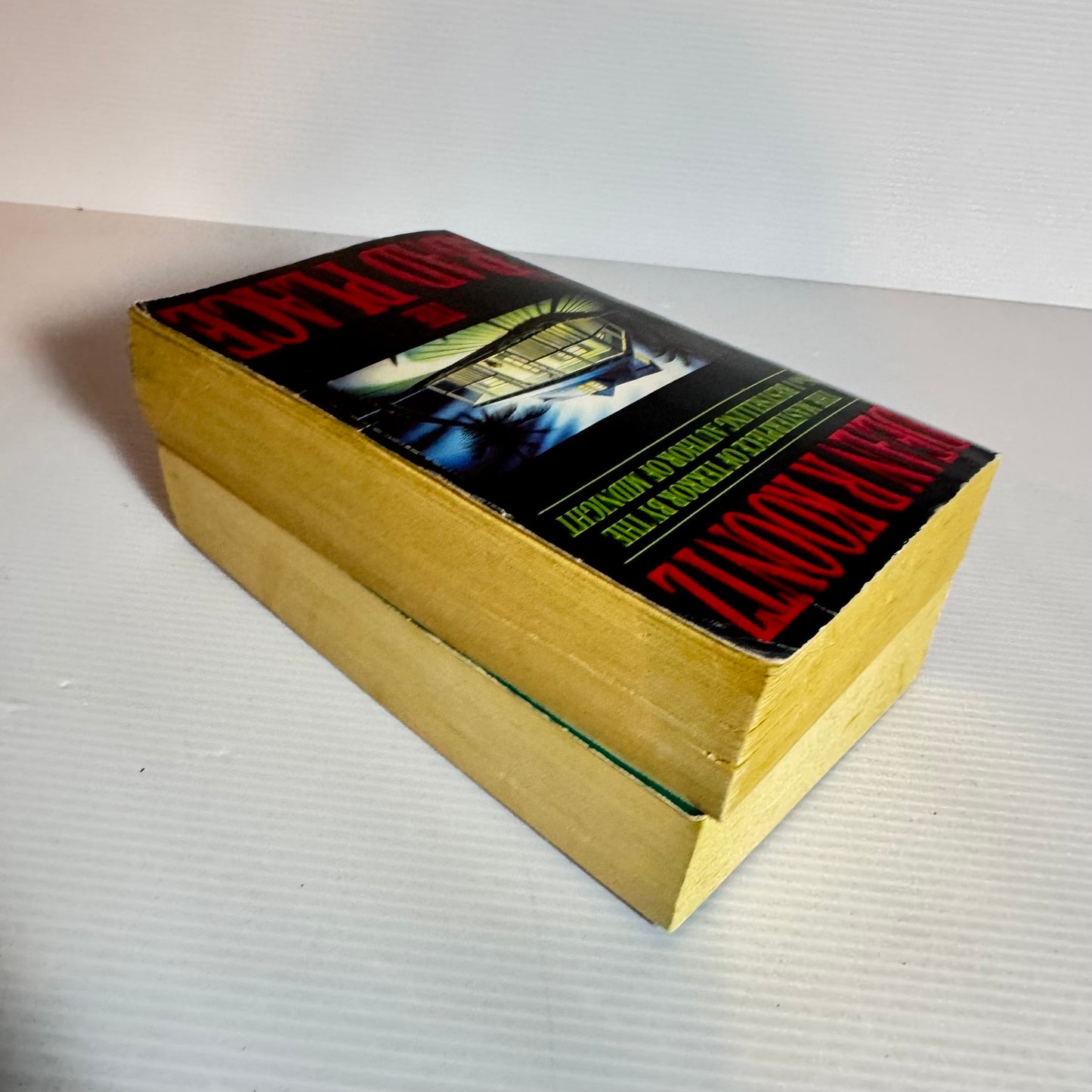 Dean Koontz Book Bundle x 2 - The Door To December & The Bad Place