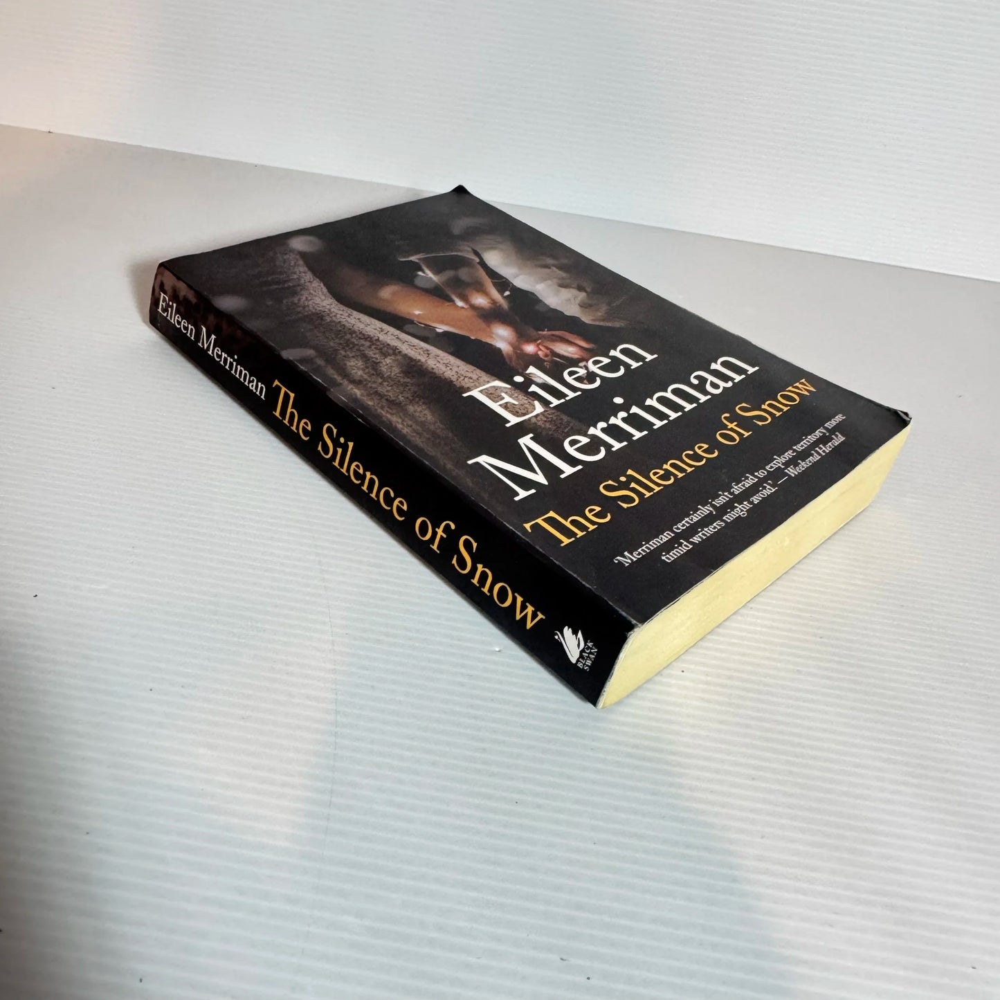The Silence Of Snow - Eileen Merriman