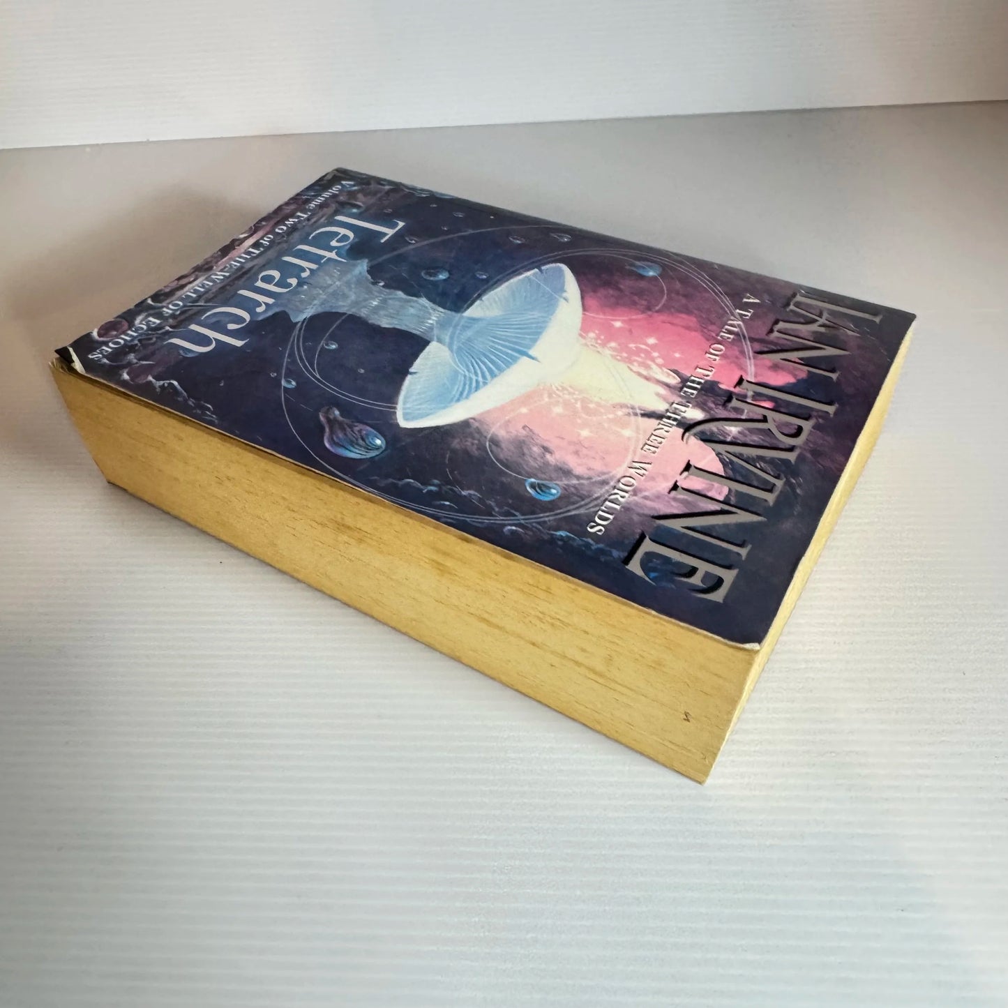 A Tale of The Three Worlds : Volume Two of the Well of Echoes - Ian Irvine