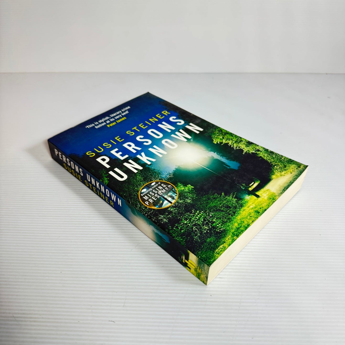 Persons Unknown - Susie Steiner (New)